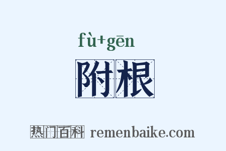 附根是什么意思的图片